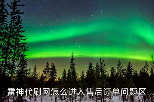 雷神代刷網(wǎng)怎么進(jìn)入售后訂單問(wèn)題區(qū)