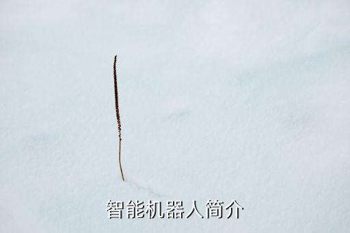 智能機(jī)器人簡(jiǎn)介
