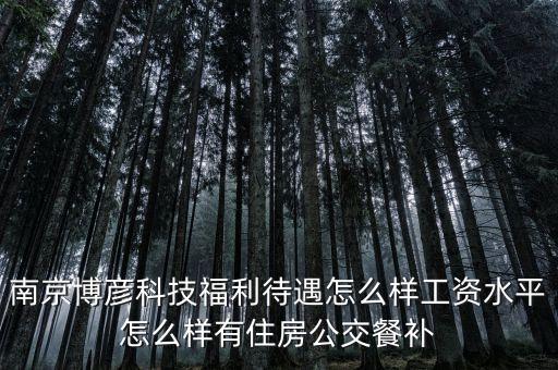 南京博彥科技福利待遇怎么樣工資水平怎么樣有住房公交餐補