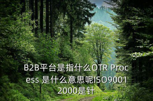 B2B平臺(tái)是指什么OTR Process 是什么意思呢ISO90012000是針