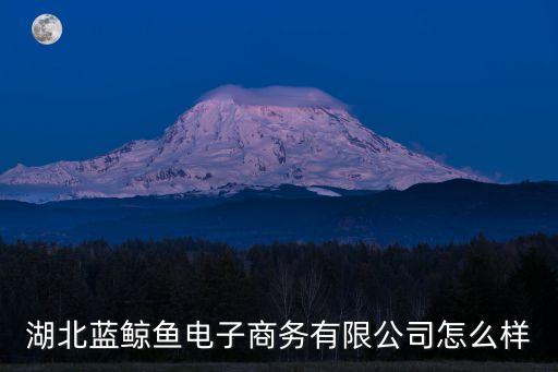 湖北藍(lán)鯨魚(yú)電子商務(wù)有限公司怎么樣
