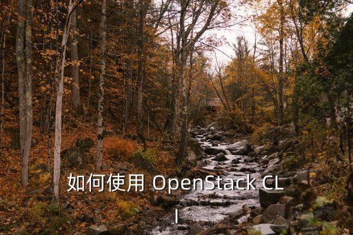 如何使用 OpenStack CLI