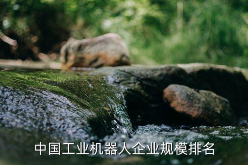中國工業(yè)機器人企業(yè)規(guī)模排名