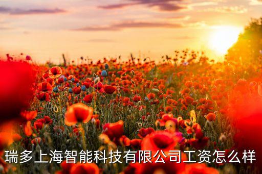 瑞多上海智能科技有限公司工資怎么樣