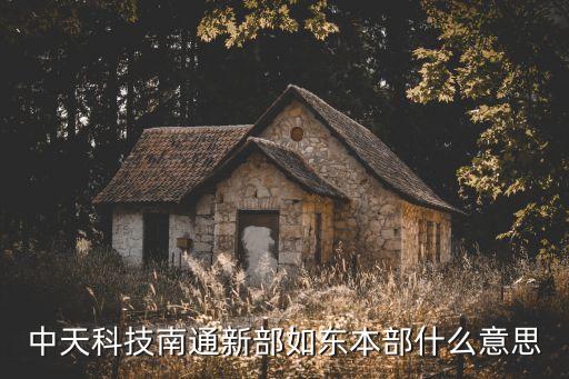 中天科技有限公司，深圳市中天科技開發(fā)有限公司怎么樣