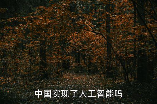中國實現(xiàn)了人工智能嗎