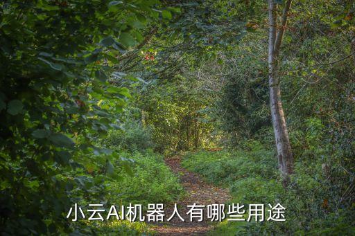科技智能機(jī)器有什么用，小云AI機(jī)器人有哪些用途