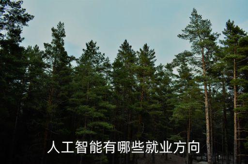 人工智能有哪些就業(yè)方向