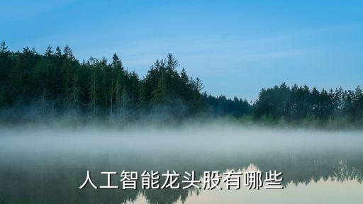 人工智能行業(yè)龍頭股排名，人工智能芯片誰是龍頭 智能芯片上市企業(yè)有哪些