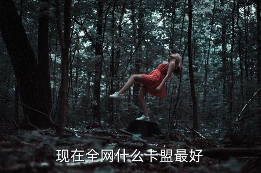 全網(wǎng)卡盟平臺，現(xiàn)在全網(wǎng)什么卡盟最好