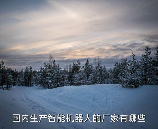 國產(chǎn)工業(yè)機器人十大品牌，國內(nèi)有幾家做工業(yè)機器人的 比如機器人手