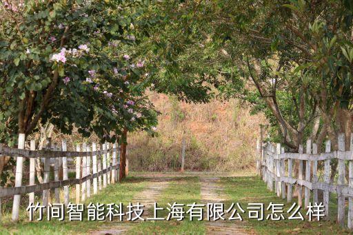 竹間智能科技上海有限公司怎么樣