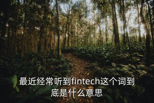 最近經(jīng)常聽到fintech這個(gè)詞到底是什么意思