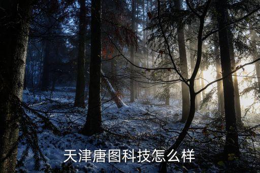 天津唐圖科技怎么樣
