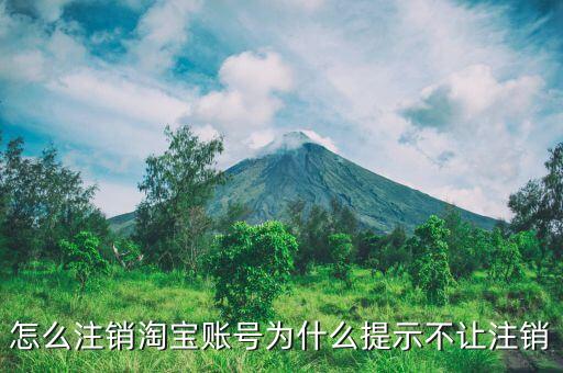 ks贊自助下單平臺(tái)網(wǎng)站免費(fèi)，中國服務(wù)器網(wǎng)有手機(jī)端嗎