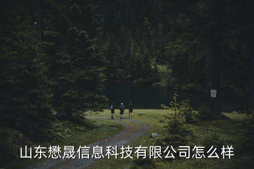 山東懋晟信息科技有限公司怎么樣