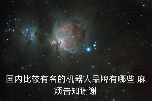 國內(nèi)比較有名的機器人品牌有哪些 麻煩告知謝謝