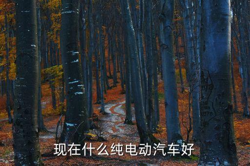 現(xiàn)在什么純電動汽車好
