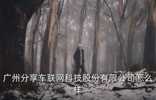 廣州分享車聯(lián)網(wǎng)科技股份有限公司怎么樣