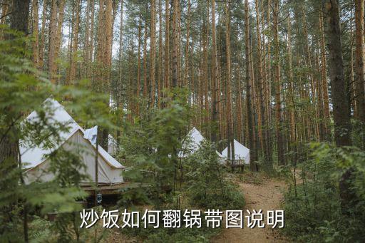 炒飯如何翻鍋帶圖說明