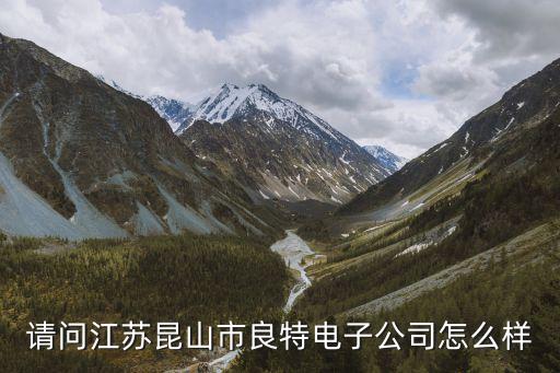 請問江蘇昆山市良特電子公司怎么樣