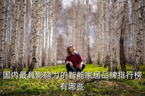 國內(nèi)最具影響力的智能家居品牌排行榜有哪些