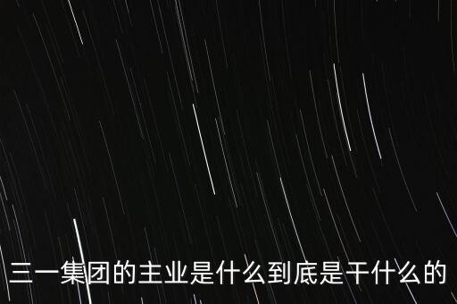 三一集團(tuán)的主業(yè)是什么到底是干什么的