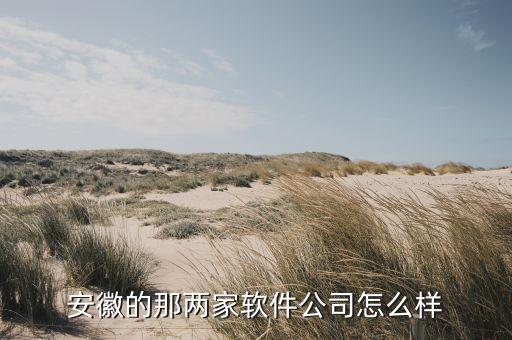 安徽的那兩家軟件公司怎么樣