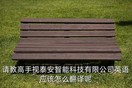 智能科技公司英語怎么說，請教高手視泰安智能科技有限公司英語應該怎么翻譯呢