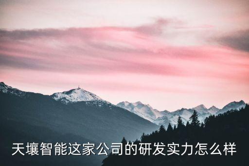 天壤智能這家公司的研發(fā)實(shí)力怎么樣