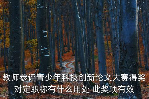 中國青少年科技創(chuàng)新大賽，教師參評青少年科技創(chuàng)新論文大賽得獎對定職稱有什么用處 此獎項有效