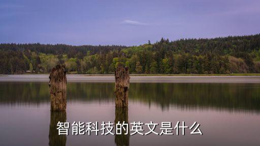 智能科技的英文是什么