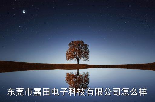 東莞市嘉田電子科技有限公司怎么樣