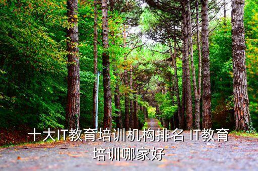 十大IT教育培訓(xùn)機(jī)構(gòu)排名 IT教育培訓(xùn)哪家好