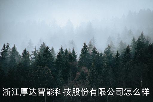 致達(dá)智能科技公司 怎么樣，浙江厚達(dá)智能科技股份有限公司怎么樣