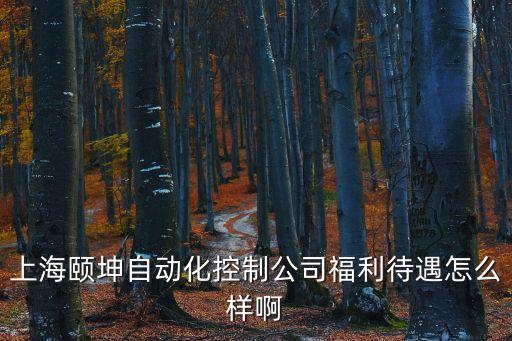 上海頤坤自動化控制公司福利待遇怎么樣啊