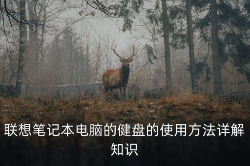 聯(lián)想筆記本電腦的健盤的使用方法詳解知識