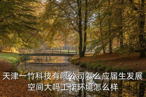 天津一竹科技有限公司怎么應(yīng)屆生發(fā)展空間大嗎工作環(huán)境怎么樣
