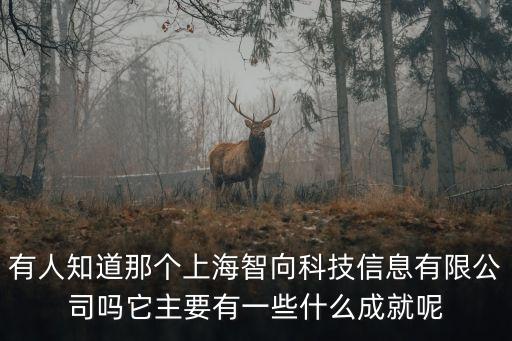 有人知道那個上海智向科技信息有限公司嗎它主要有一些什么成就呢