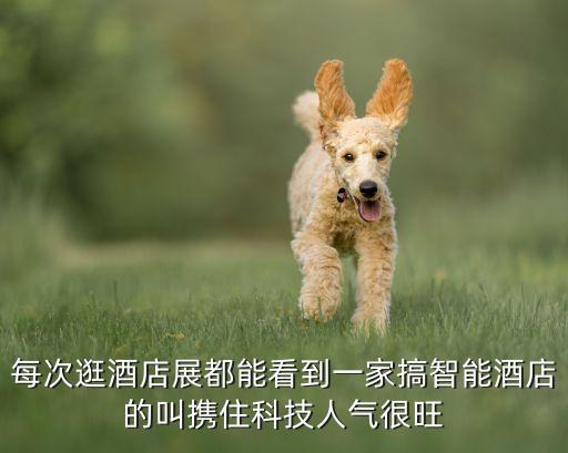 每次逛酒店展都能看到一家搞智能酒店的叫攜住科技人氣很旺