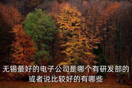 無錫最好的電子公司是哪個有研發(fā)部的或者說比較好的有哪些