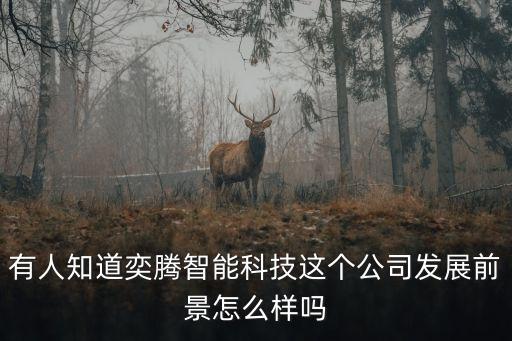 有人知道奕騰智能科技這個公司發(fā)展前景怎么樣嗎