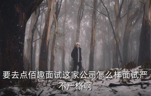 要去點佰趣面試這家公司怎么樣面試嚴不嚴格啊