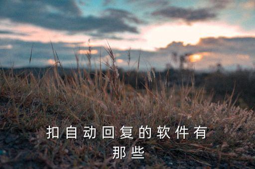 扣 自 動(dòng) 回 復(fù) 的 軟 件 有 那 些