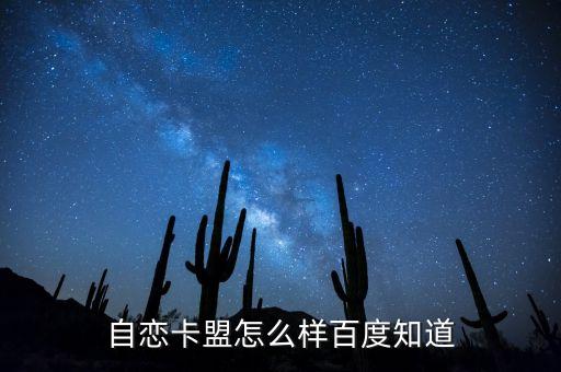 自助卡盟，自主卡盟網(wǎng)址什么