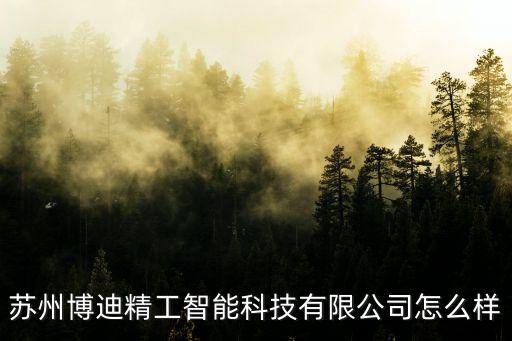 蘇州博迪精工智能科技有限公司怎么樣