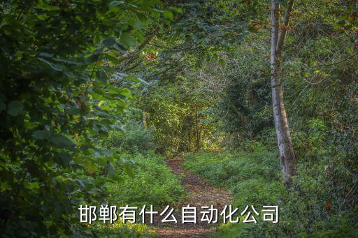 邯鄲有什么自動(dòng)化公司
