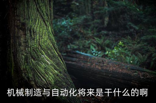 機械制造與自動化將來是干什么的啊