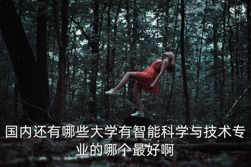 國(guó)內(nèi)還有哪些大學(xué)有智能科學(xué)與技術(shù)專(zhuān)業(yè)的哪個(gè)最好啊