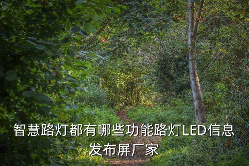 智慧路燈都有哪些功能路燈LED信息發(fā)布屏廠家